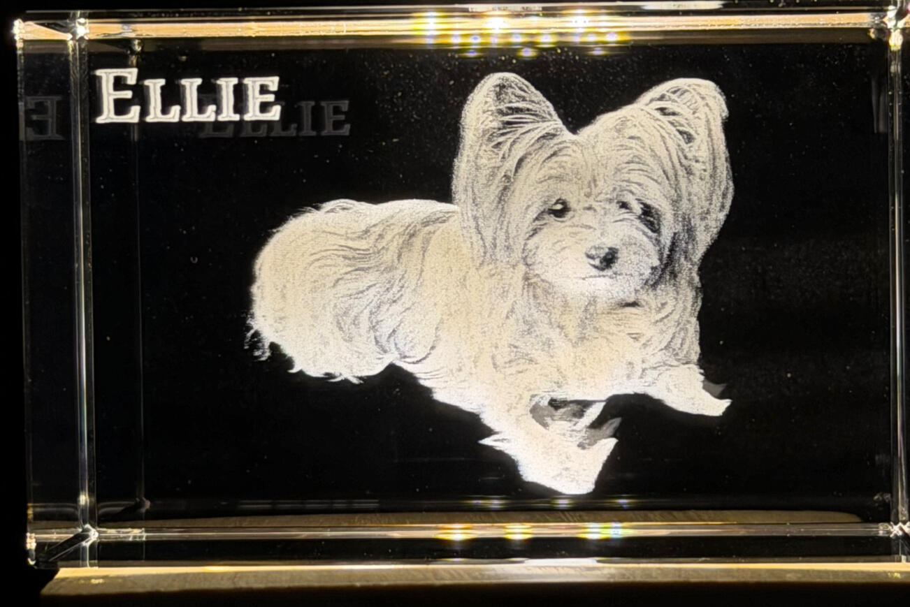 Pet Memorial - 2" x 3" Crystal Pet Memorial - 2" x 3" Crystal